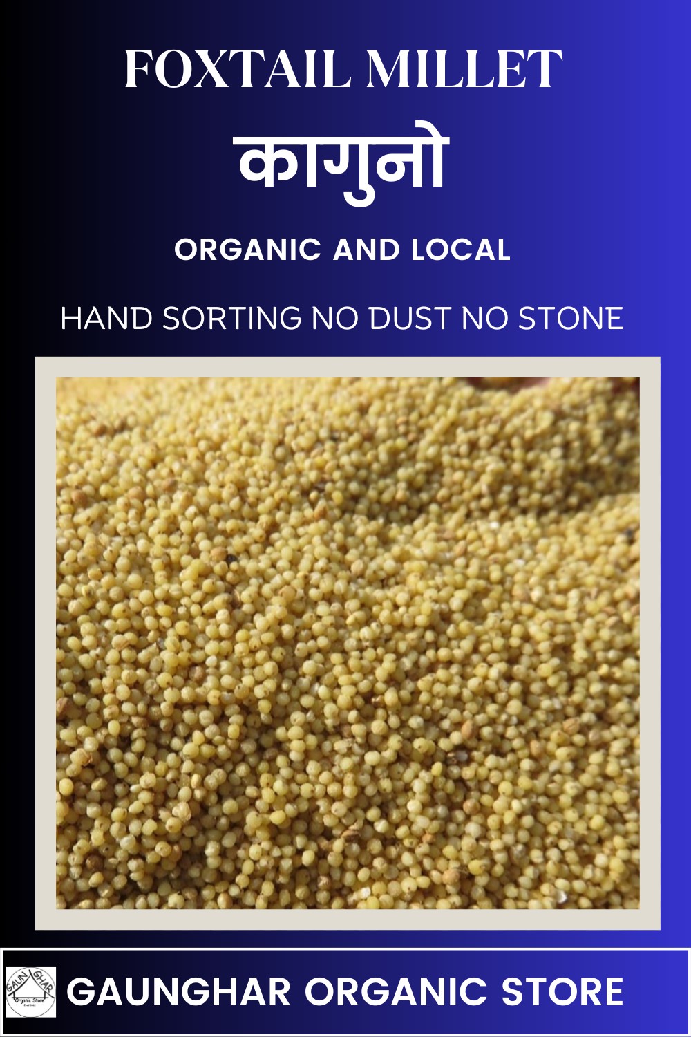 Karnali Ko Kaguno (Foxtail Millet) 250 gm